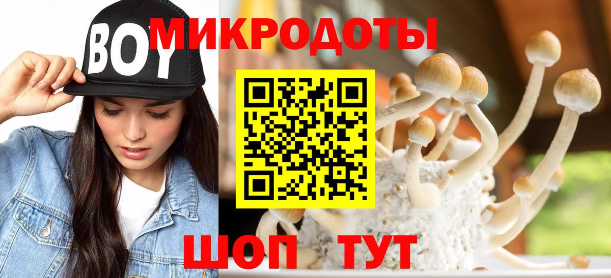 Корсаков  Галлюциногенные грибы MAGIC MUSHROOMS  Вход с VPN 