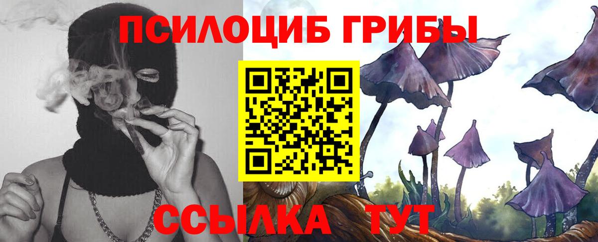 Галлюциногенные грибы мухоморы Корсаков